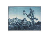An image of a Joshua tree and a large rock formation with a blue hue and a 3D drawing over the image. 