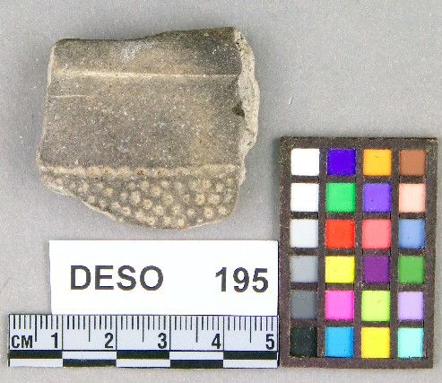 DESO     195 -- Vessel Fragment