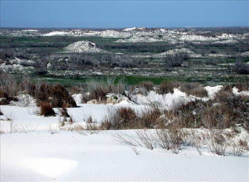 Scenery of Padre Island National Seashore