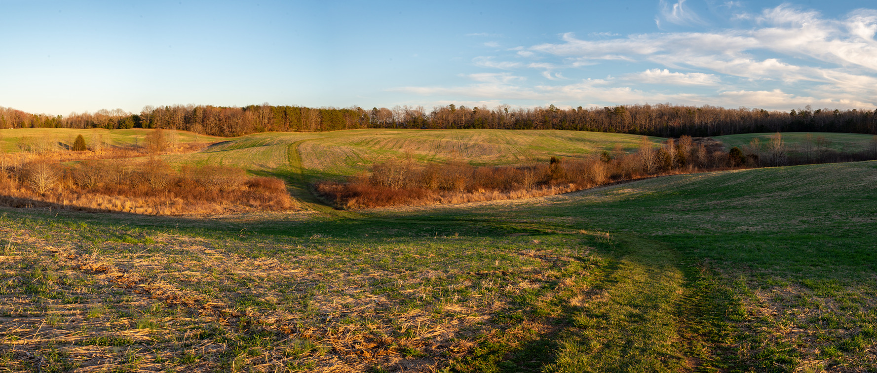 A field with a run cutting through it, vegetation growing along the waterway.
