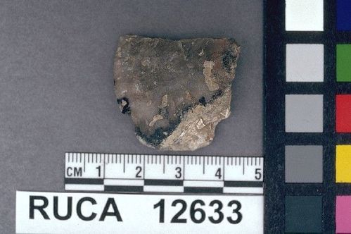 RUCA   12633 -- Point, Projectile