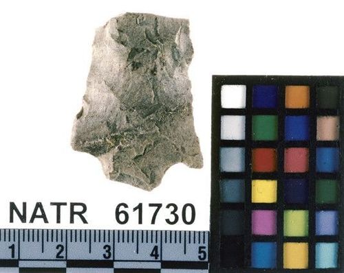 NATR   61730 -- Untyped projectile point