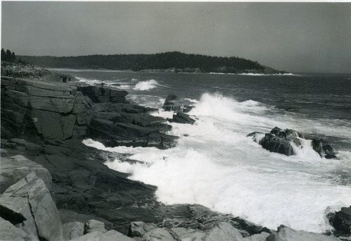 SURF NEAR THUNDER HOLE