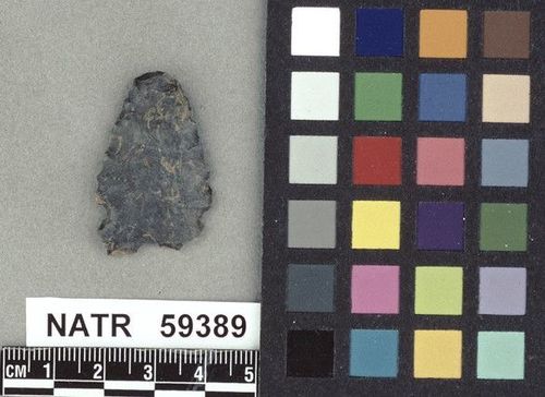 NATR   59389 -- Untyped projectile point