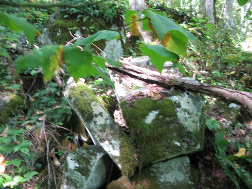 GRSM Accuracy Assessment. Plot Code: GRSM_AA_0137_5