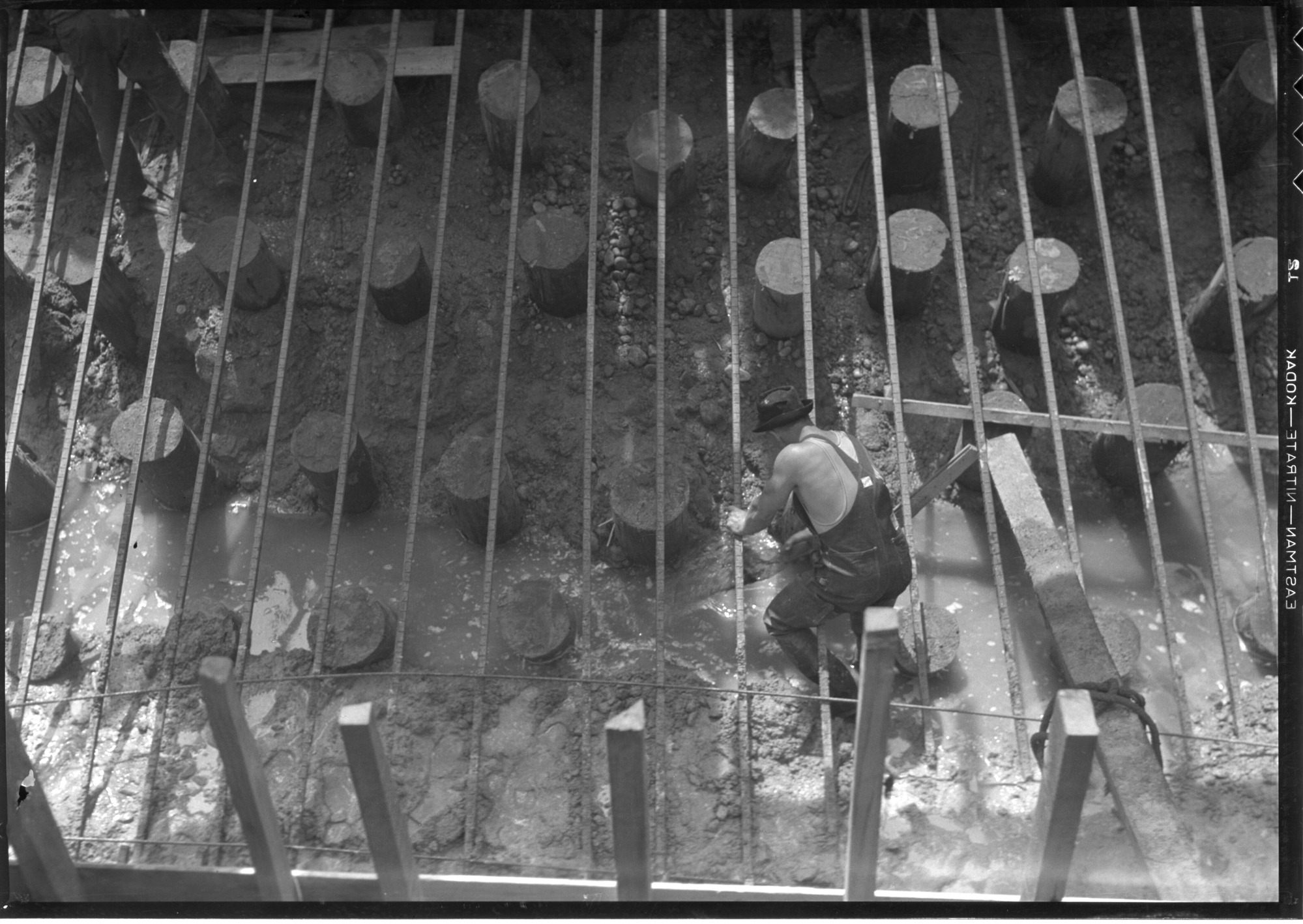 Piling and reinforcing bars at Curry Bridge.