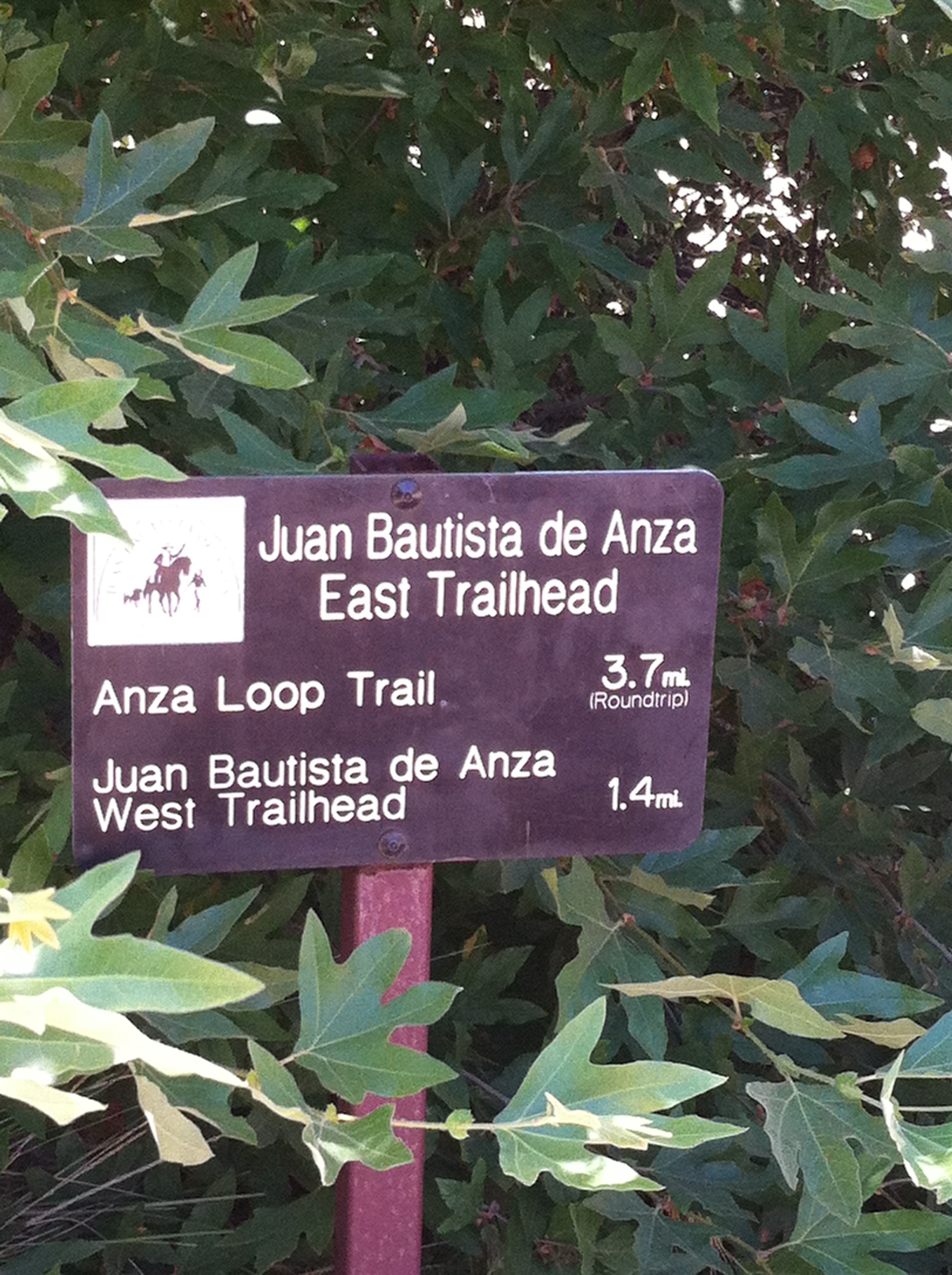 Sign in front of a tree reads, "Juan Bautista de Anza East Trailhead Anza Loop Trail 3.7 mi., Juan Bautista de Anza West Trailhead 1.4 mi"