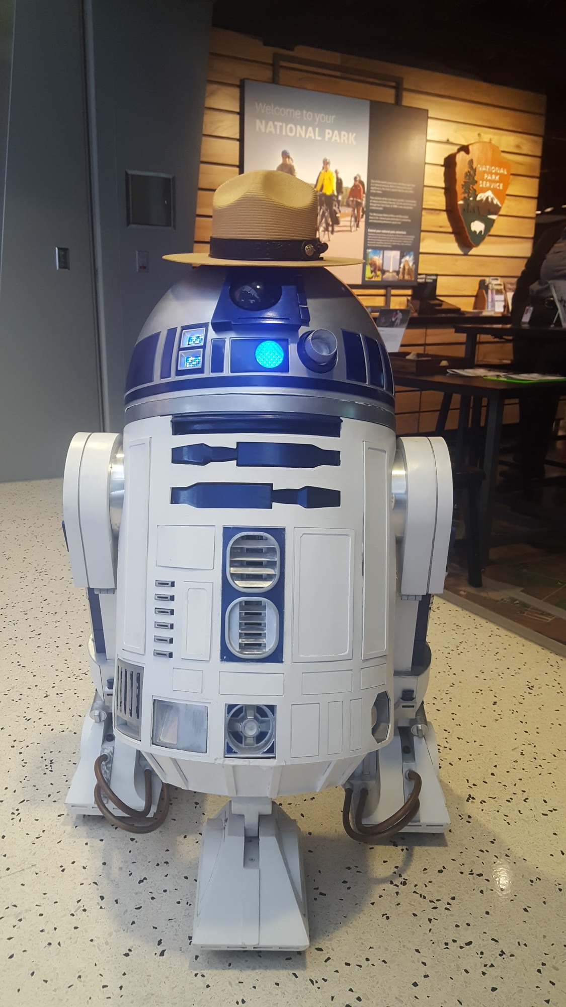 A robot with a park ranger hat. 