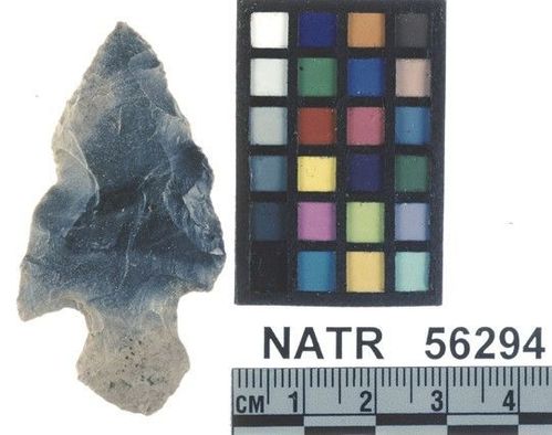 NATR   56294 -- Untyped projectile point