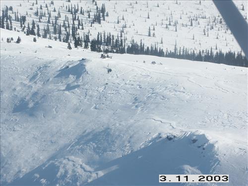 2 Yukon-Charley Rivers National Preserve Wolf Capture 2003