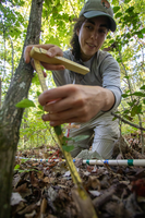 A biologist holds a measuring stick up next to a plant and smiles.