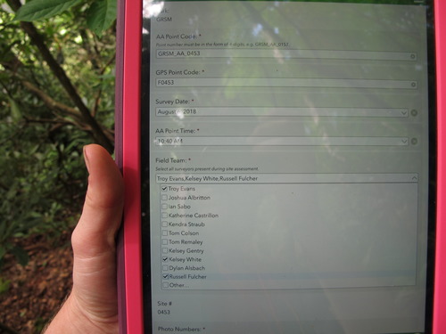 Plot Code: GRSM_AA_0453_1