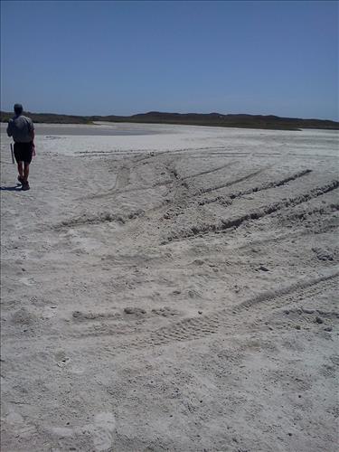 tidal flat disturbance PAIS