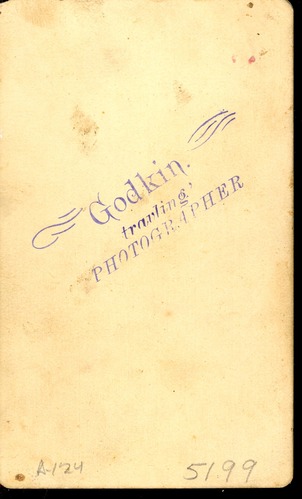 American Horse in a Mix of Traditional and Western Clothing