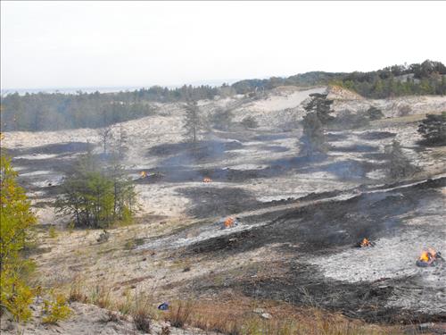 Dune and Prairie Warbler Habitat Restoration at Sleeping Bear Dunes NL from September 2010-October 2011