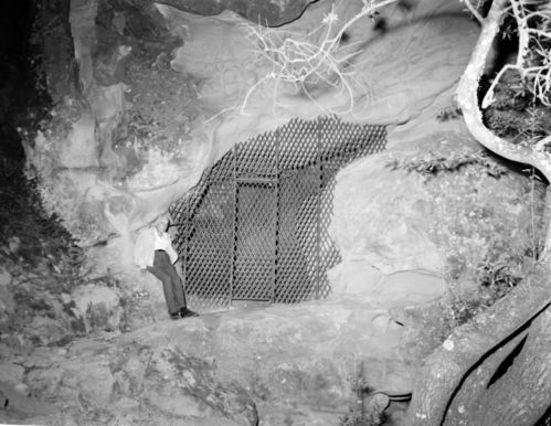 Painted Cave at Santa Barbara County in June 1958