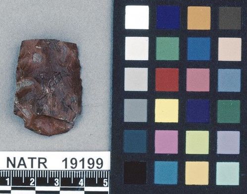NATR   19199 -- Untyped projectile point