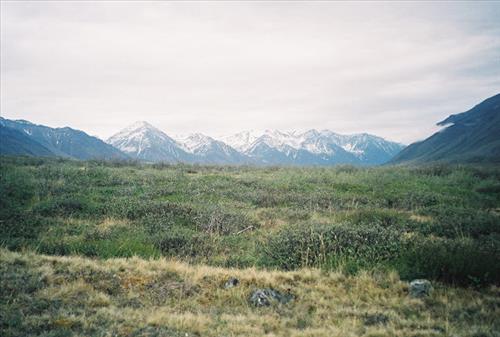 3 Gates of the Arctic National Park and Preserve Itkillik Birds Survey June 2006