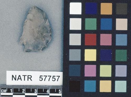 NATR   57757 -- White Springs Cluster projectile point