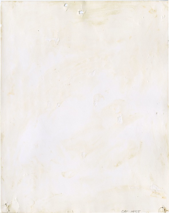 Plenty Hawk in Profile Wearing a Hat