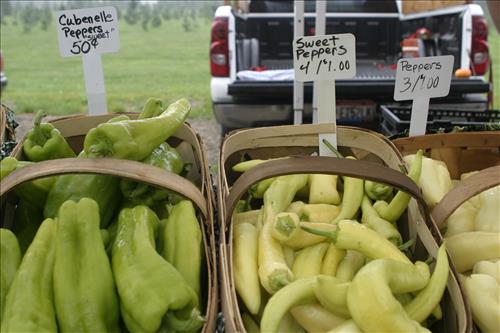 Countryside Farmers' Market produce