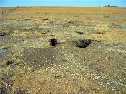 Prairie Restoration, Part 2