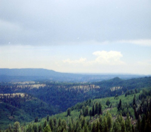 Color Photos of Zion Canyon.