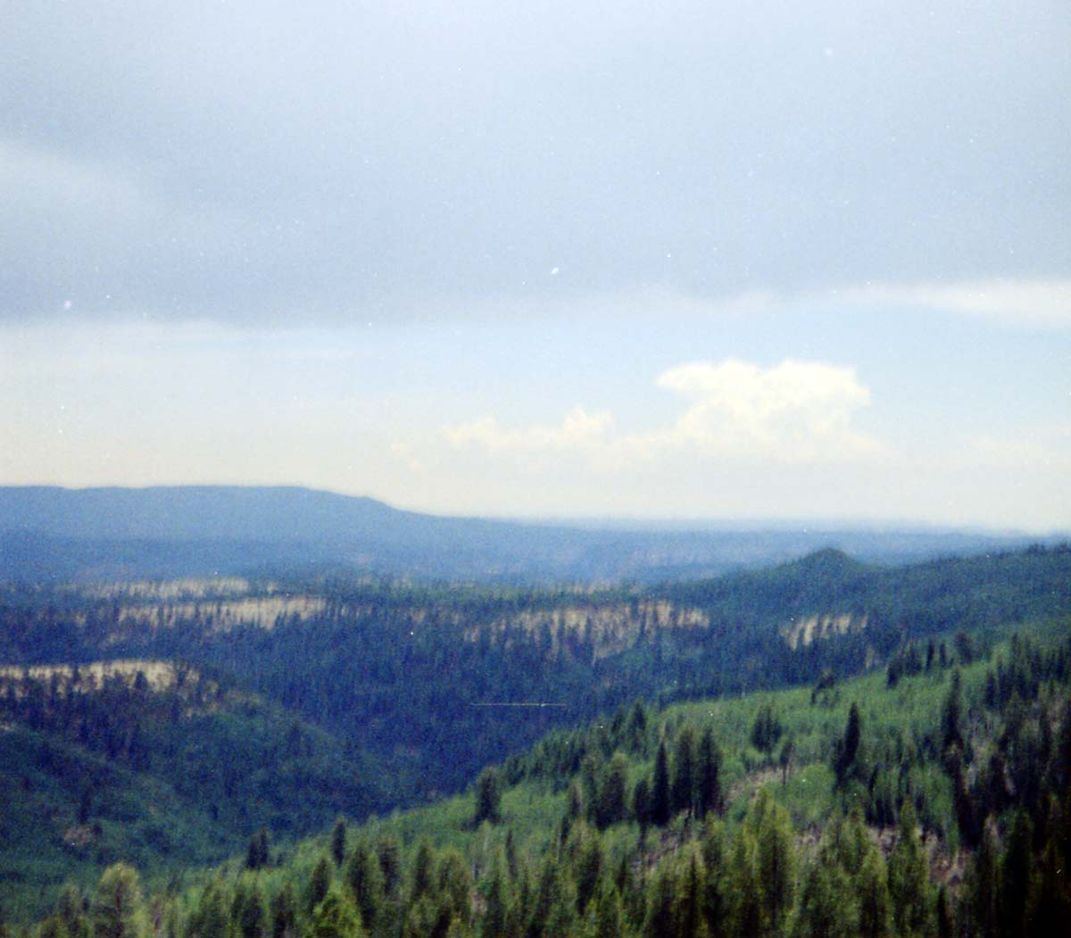 Color Photos of Zion Canyon.