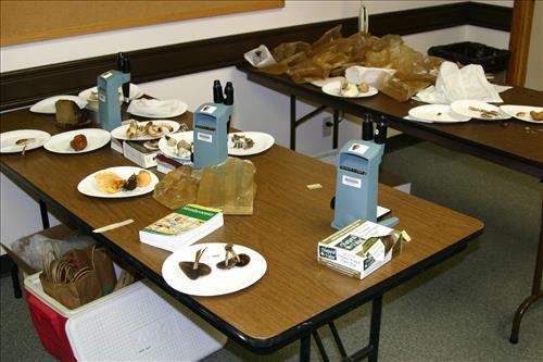 Protecting Resources: Sustaining Wild Mushrooms in Four NCR Parks - Photos from University of Arkansas led study