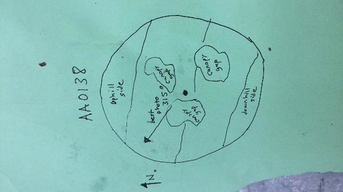 GRSM Accuracy Assessment. Plot Code: GRSM_AA_0138_map