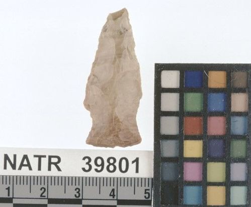 NATR   39801 -- Lowe Cluster projectile point