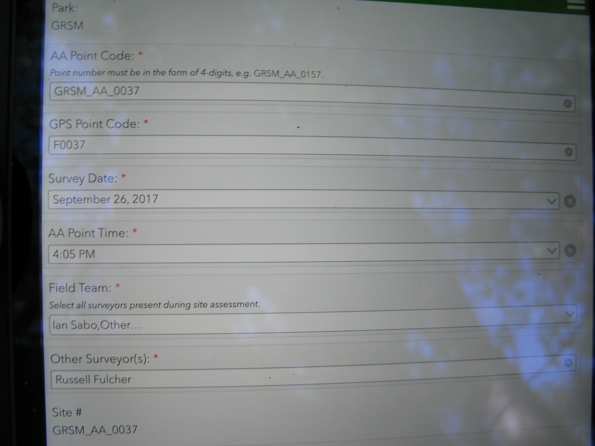 GRSM Accuracy Assessment. Plot Code: GRSM_AA_0037_1