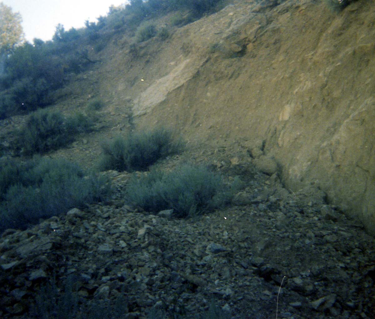 Color Photos of rock slides in Kolob Canyon.