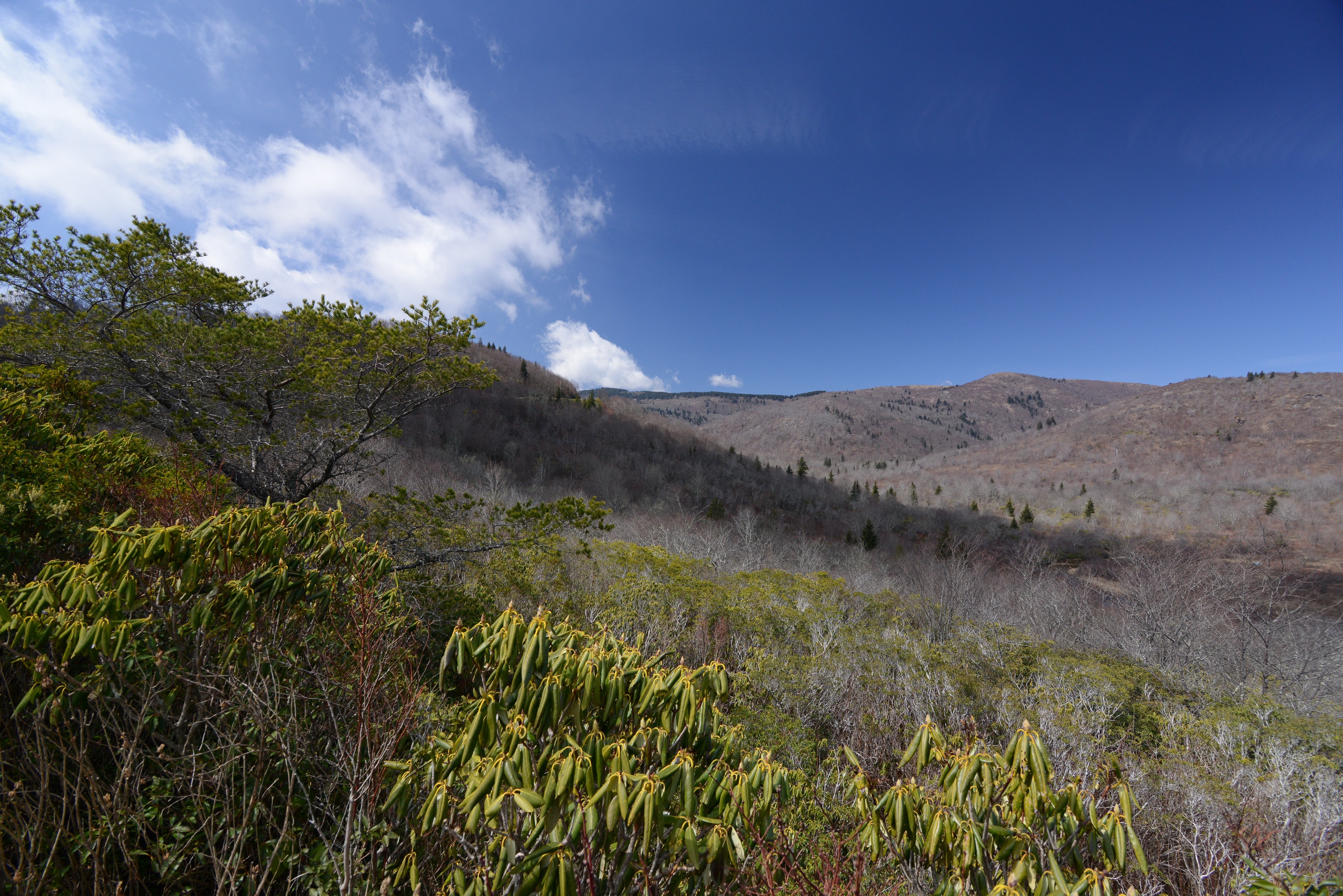 Graveyard Fields