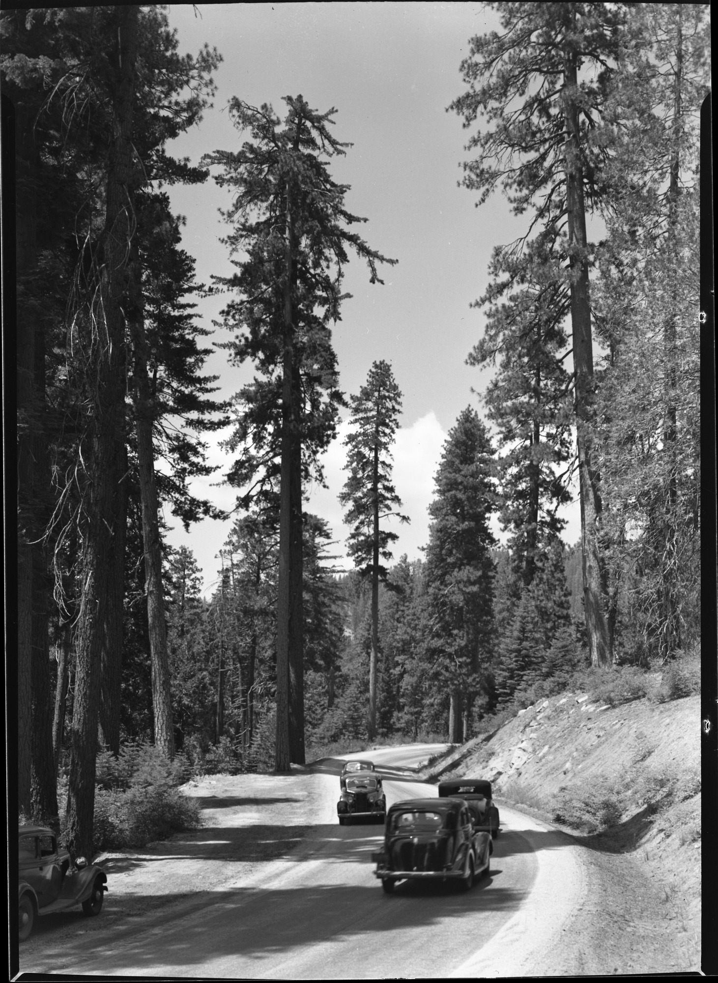Traffic on Wawona Road