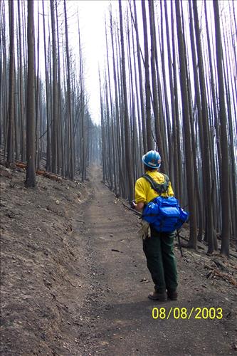 Wildland Fire Damage, Summer 2003, Glacier National Park