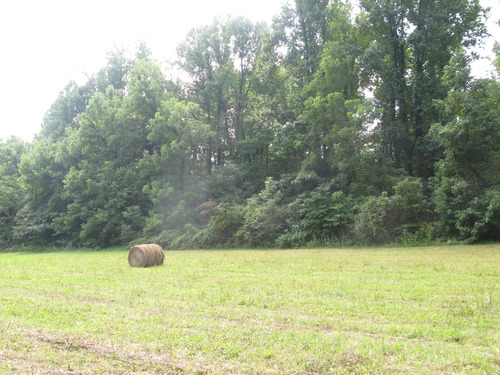 GRSM Accuracy Assessment. Plot Code: GRSM_AA_0533_4