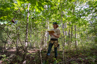 A biologist stands among the trees and holds a notebook in one hand, taking notes with the other