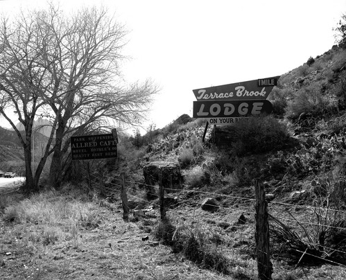 Roadside signs in Springdale. Allred's Cafe and Terrace Brook Lodge.