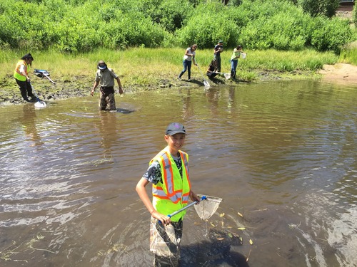 Students in waders with nets stand in and around pond.