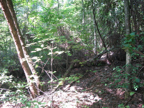 GRSM Accuracy Assessment. Plot Code: GRSM_AA_0500_5