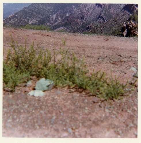 Color photo of the completion of the Kolob Canyon Road hydroseeding experiment.