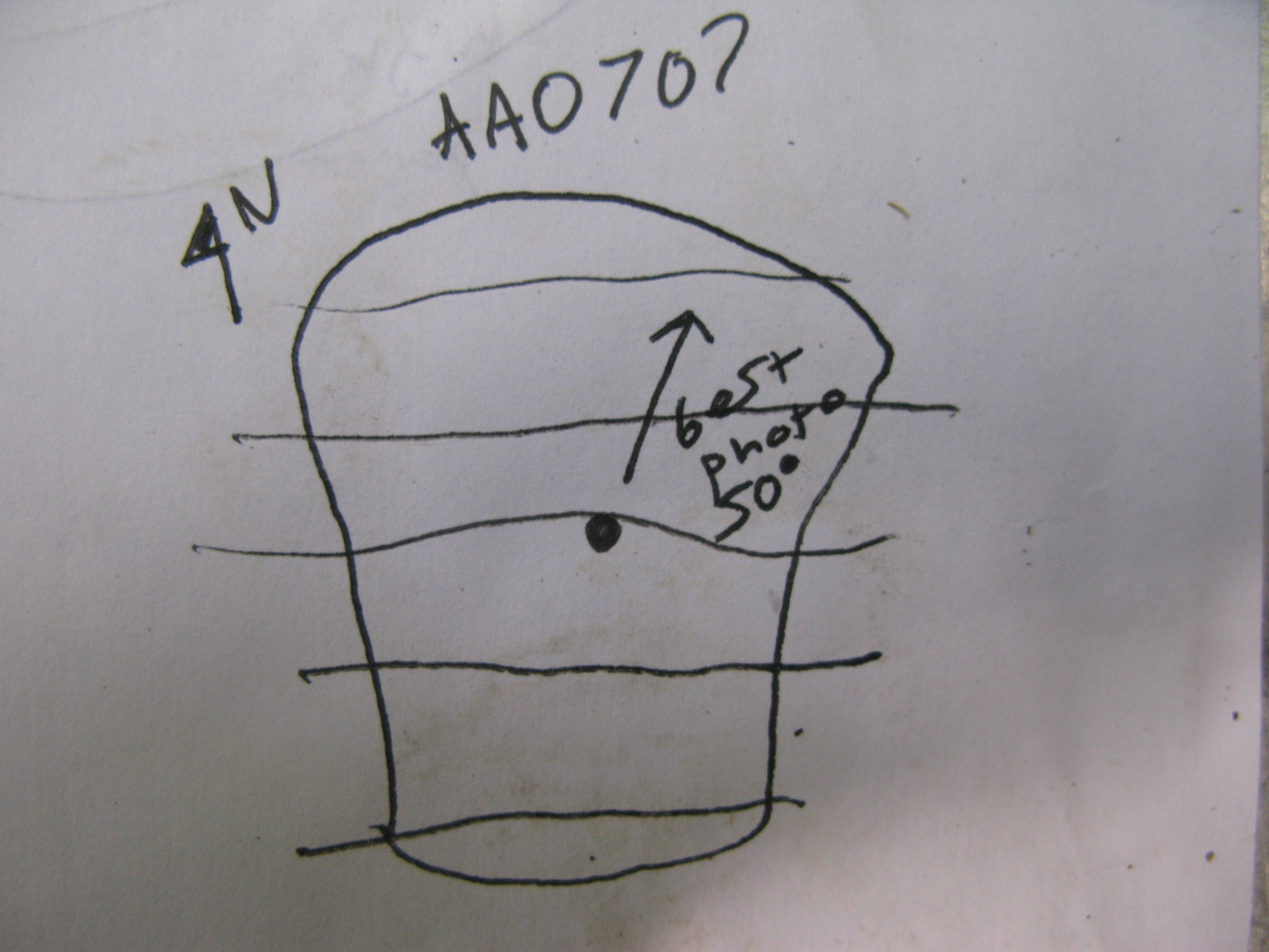 GRSM Accuracy Assessment. Plot Code: GRSM_AA_0707_7