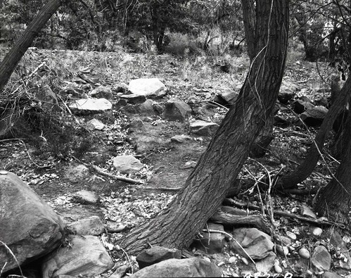 Site of visitor fall on bank of Virgin River.