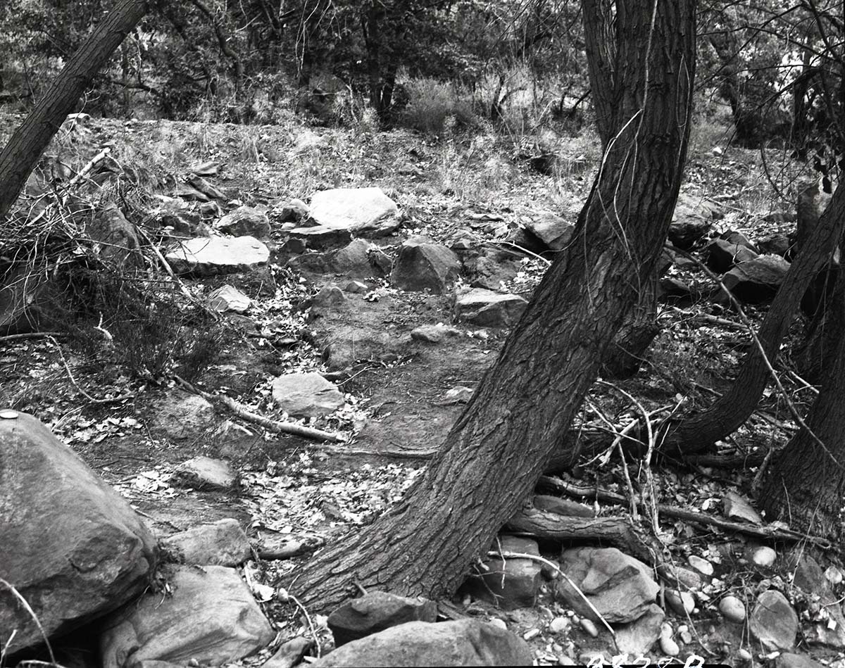 Site of visitor fall on bank of Virgin River.