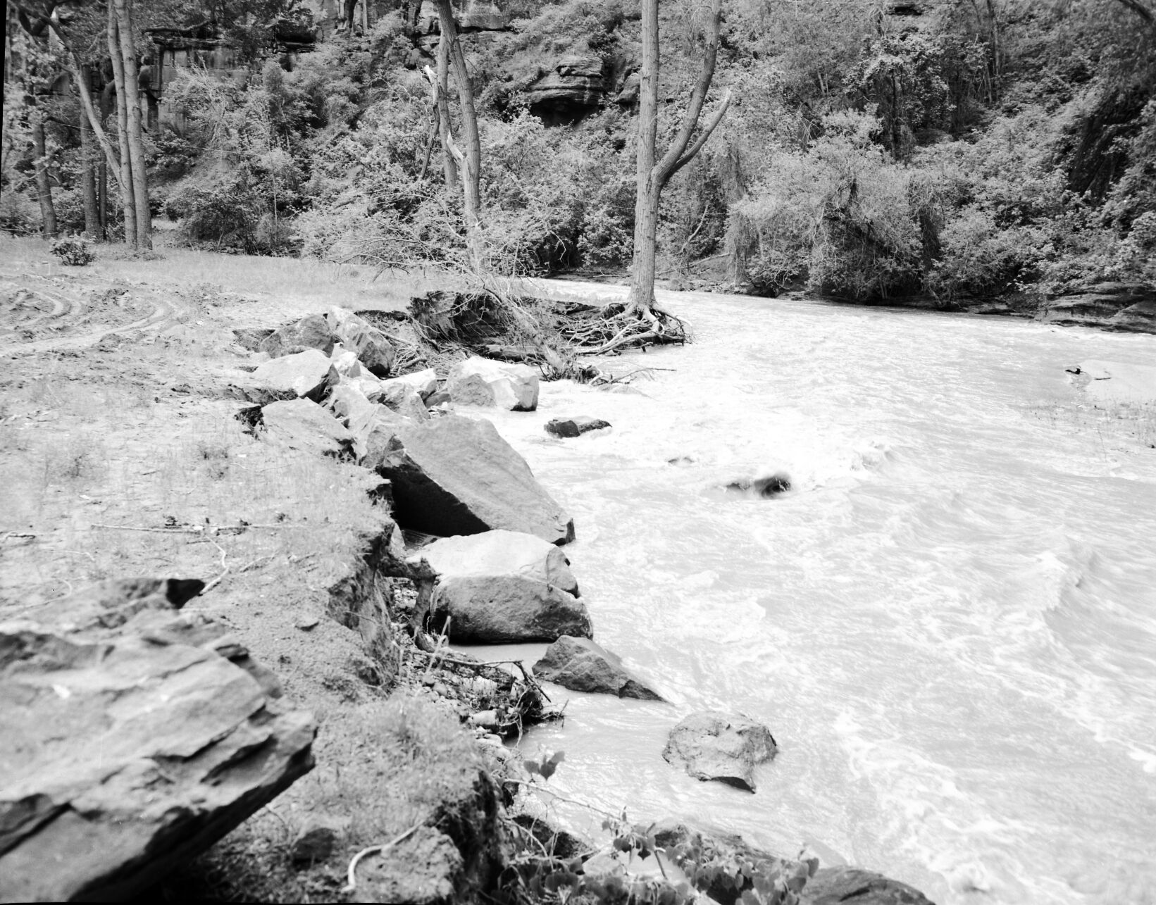 Flood damage at Temple of Sinawava parking area: controlled by revetment work.