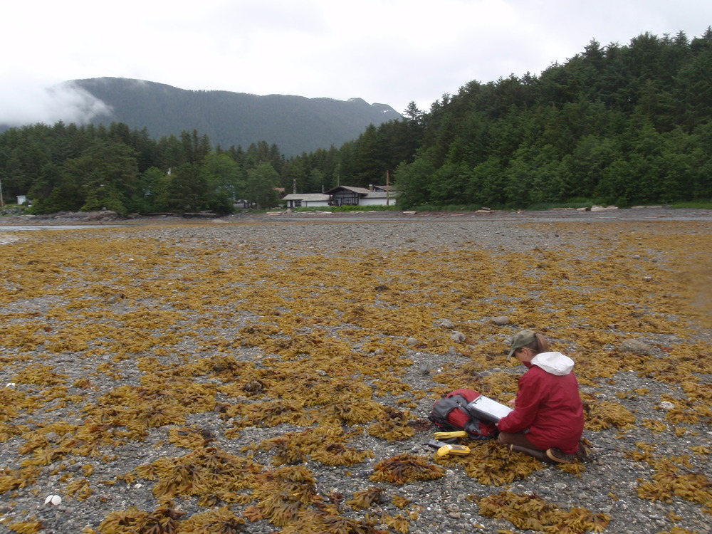 representative photo