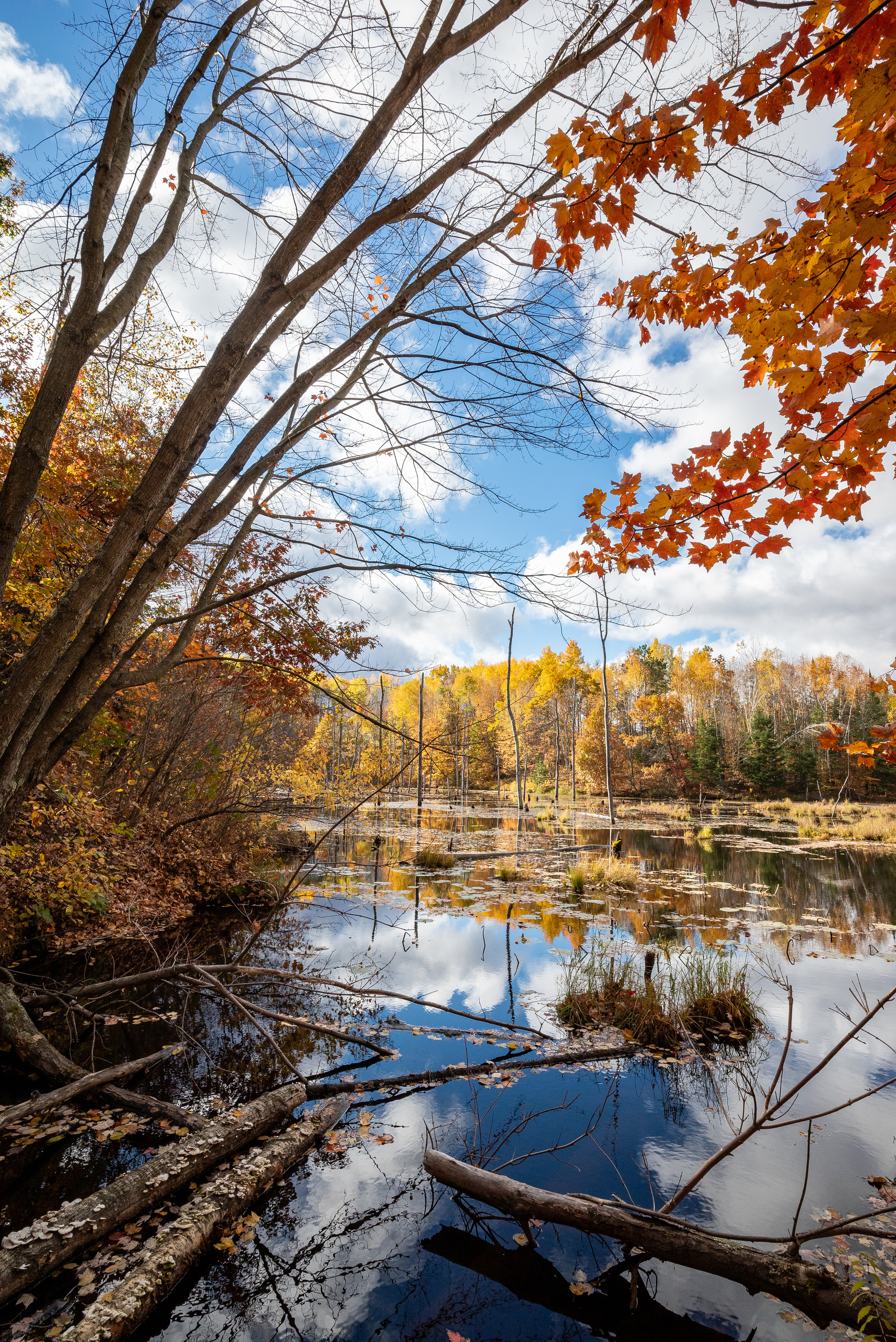 Photograph of calm lake reflecting autumn trees and a partly cloudy sky.