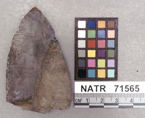 NATR   71565 -- Untyped projectile point