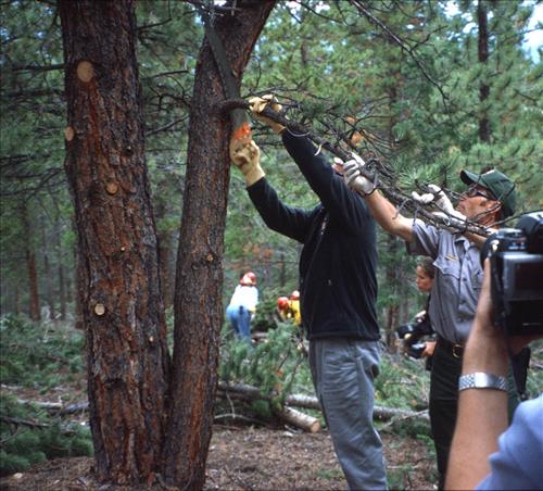 President Bush visits Emerald Mountain Fuel Reduction Project Site in Colorado